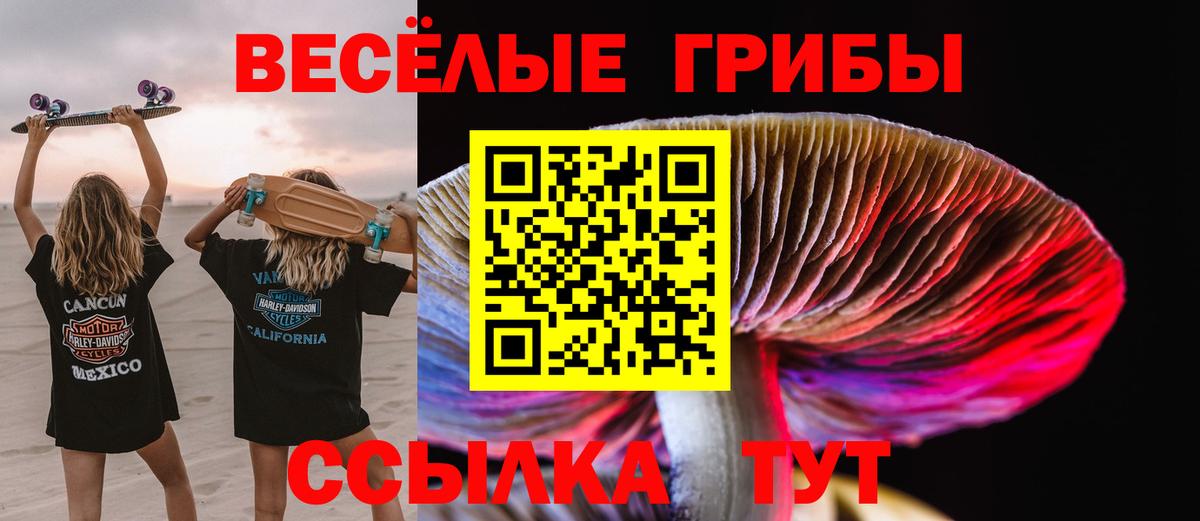 Моздок  Псилоцибиновые грибы Psilocybe  Вход с VPN 